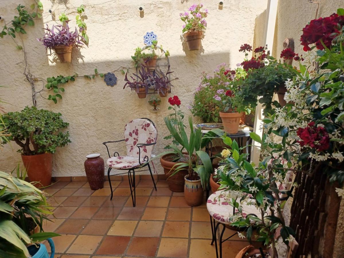 Apartamento Rural Casa Medico トゥレ エクステリア 写真